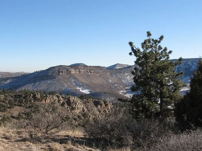 Ponderosa pines above a rocky slope at Hall Ranch, looking east over the hogback to the plains